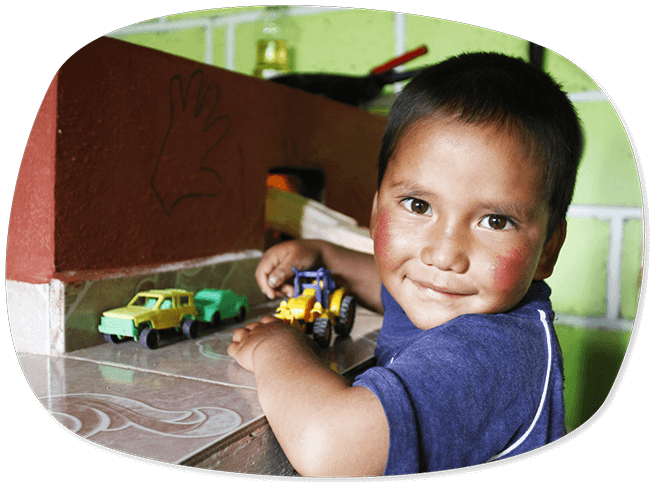 Community Support Projects Microsol