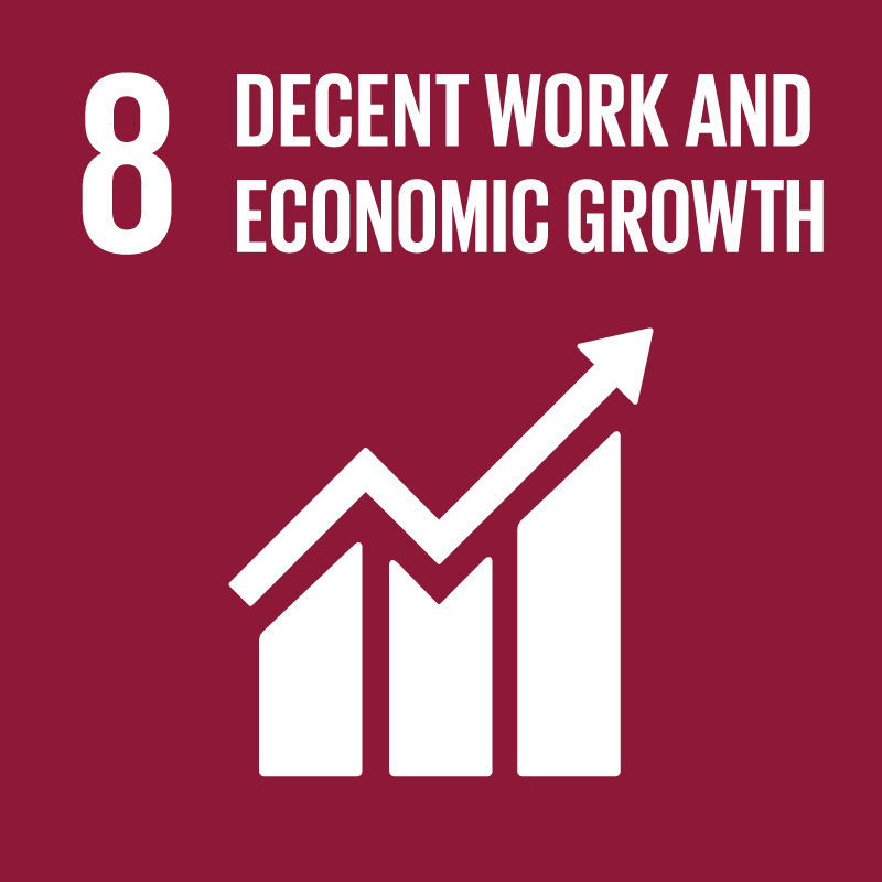 SDG goal 8 Microsol